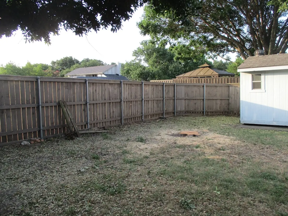 Cleared yard after professional tree removal in Bushwood